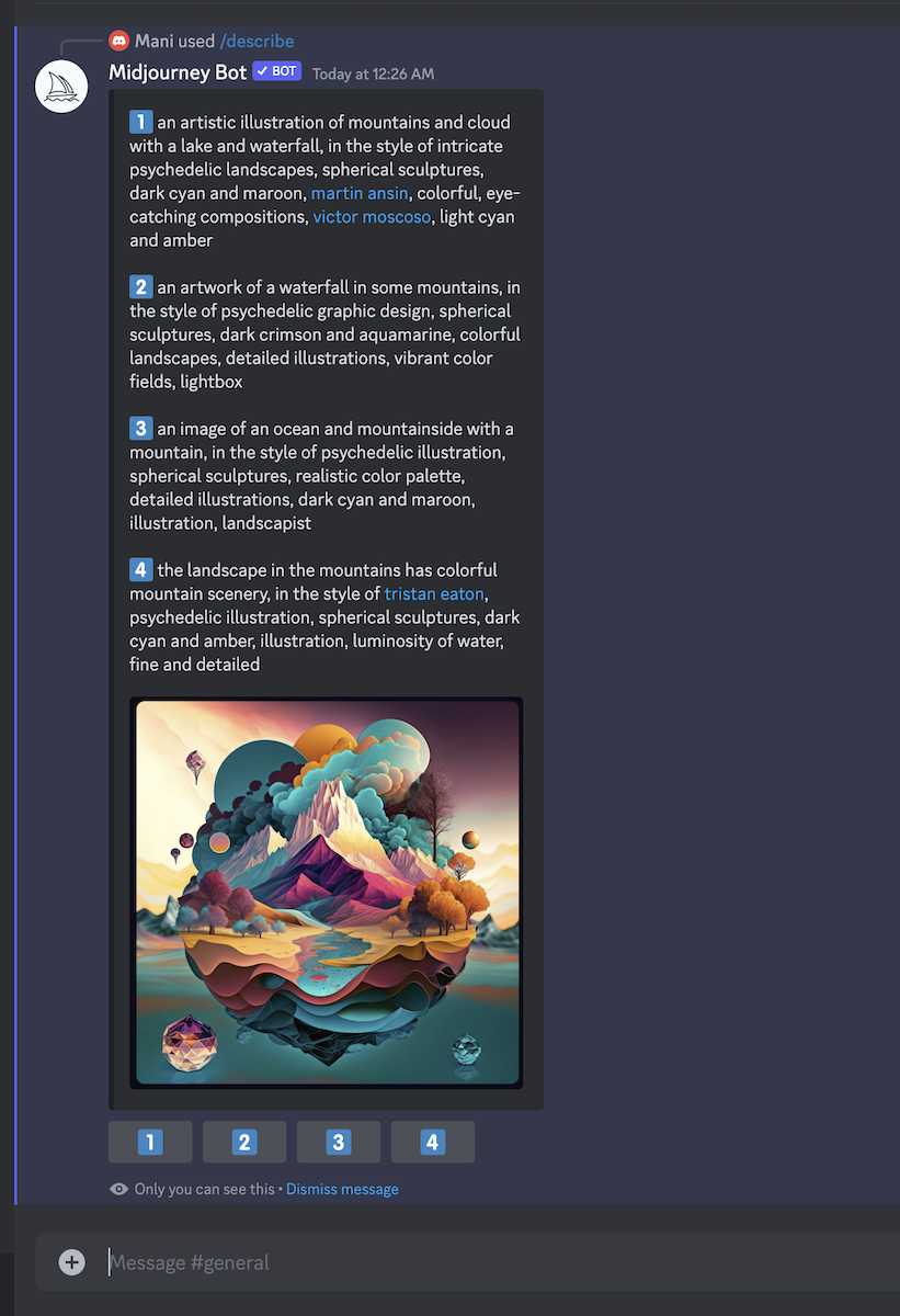 midjourney describe command output