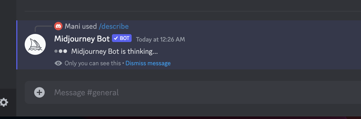 midjourney describe command output